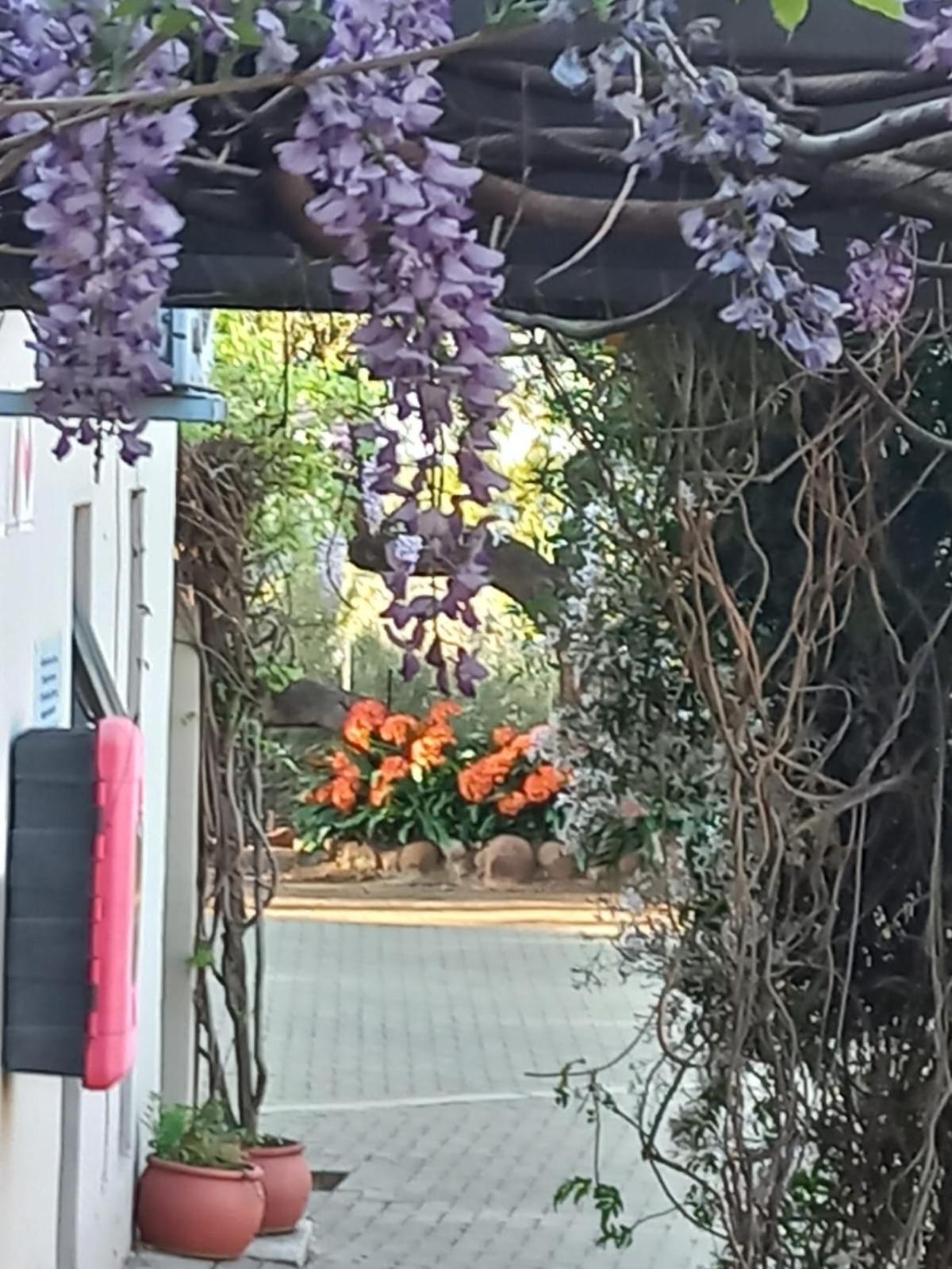A Little Guesthouse Bloemfontein Luaran gambar